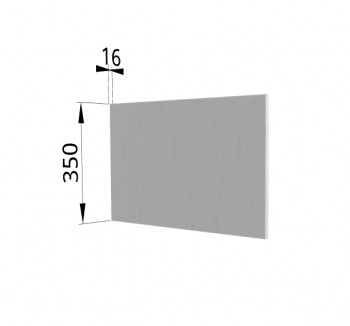 Панель торцевая (для шкафа горизонтального глубокого высотой 350 мм) ГПГ Мелисса (Графит скин) в Железногорске - zheleznogorsk.mebel54.com | фото