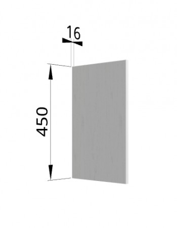 Панель торцевая (для шкафа горизонтального высотой 450 мм) ВПГ Мелисса (Графит скин) в Железногорске - zheleznogorsk.mebel54.com | фото