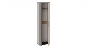 Шкаф для одежды «Нуар» тип 1 Фон серый/Дуб сонома в Железногорске - zheleznogorsk.mebel54.com | фото